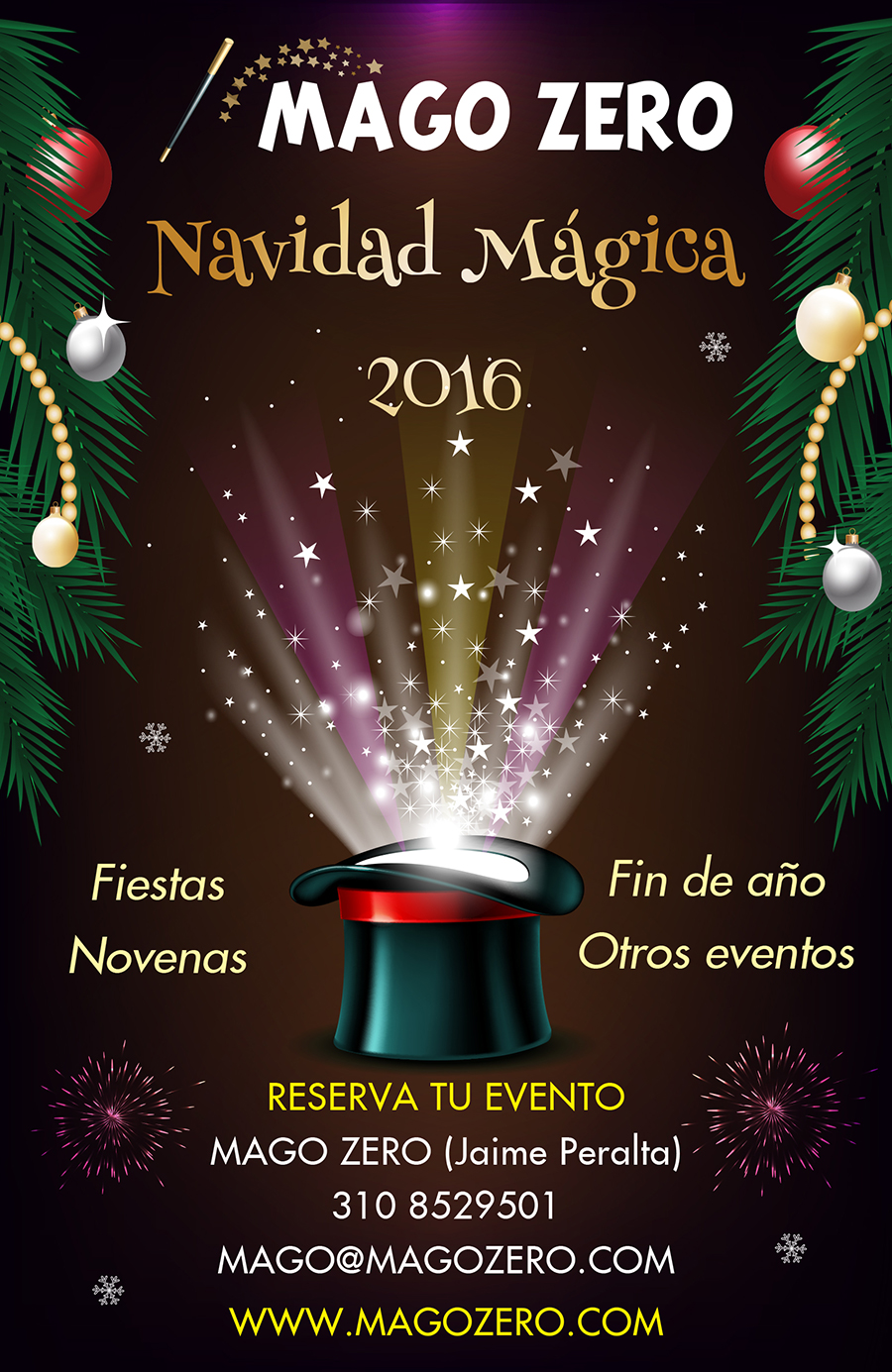 Show navidad mágica 2016