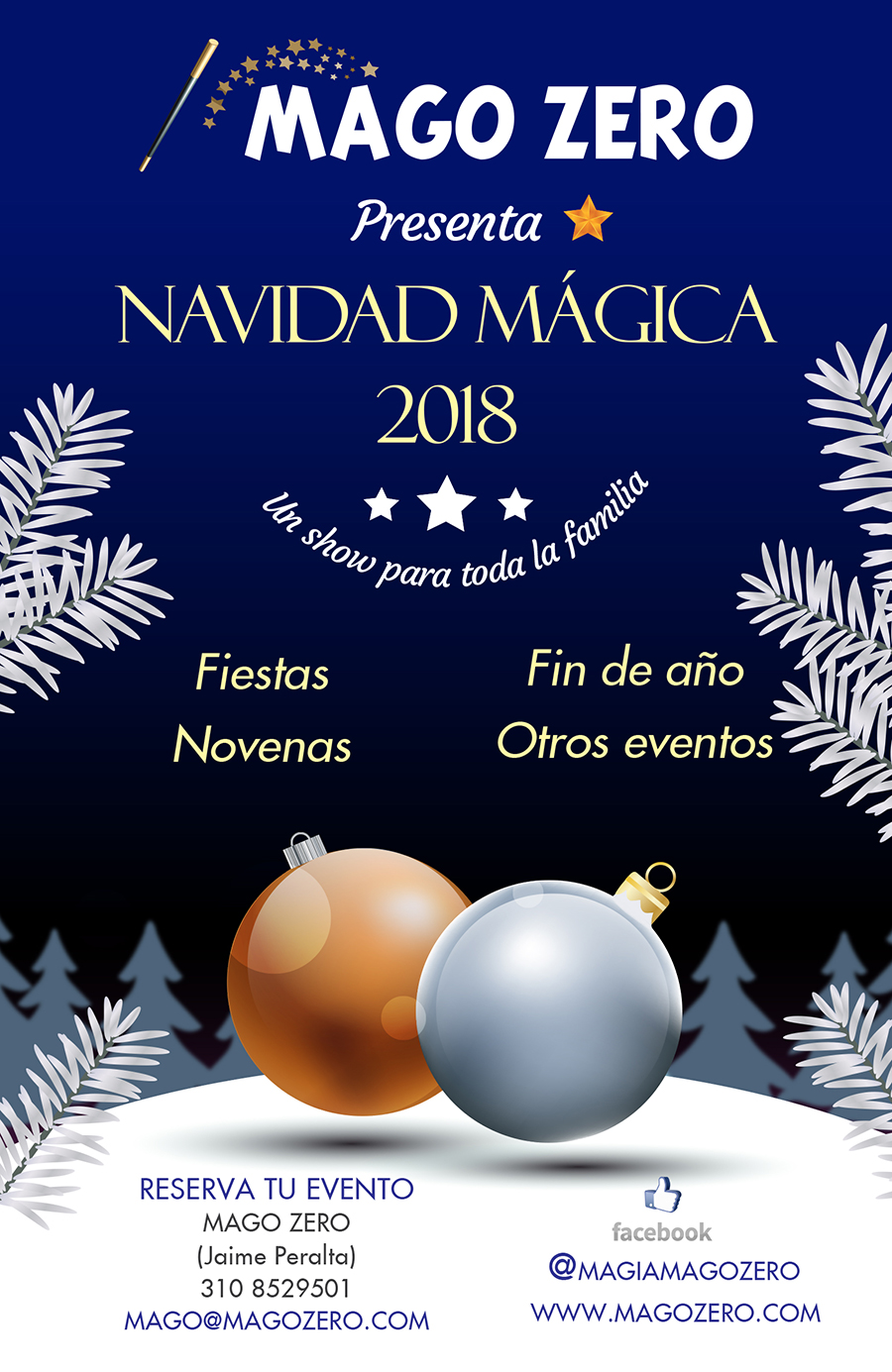 show de magia navidad